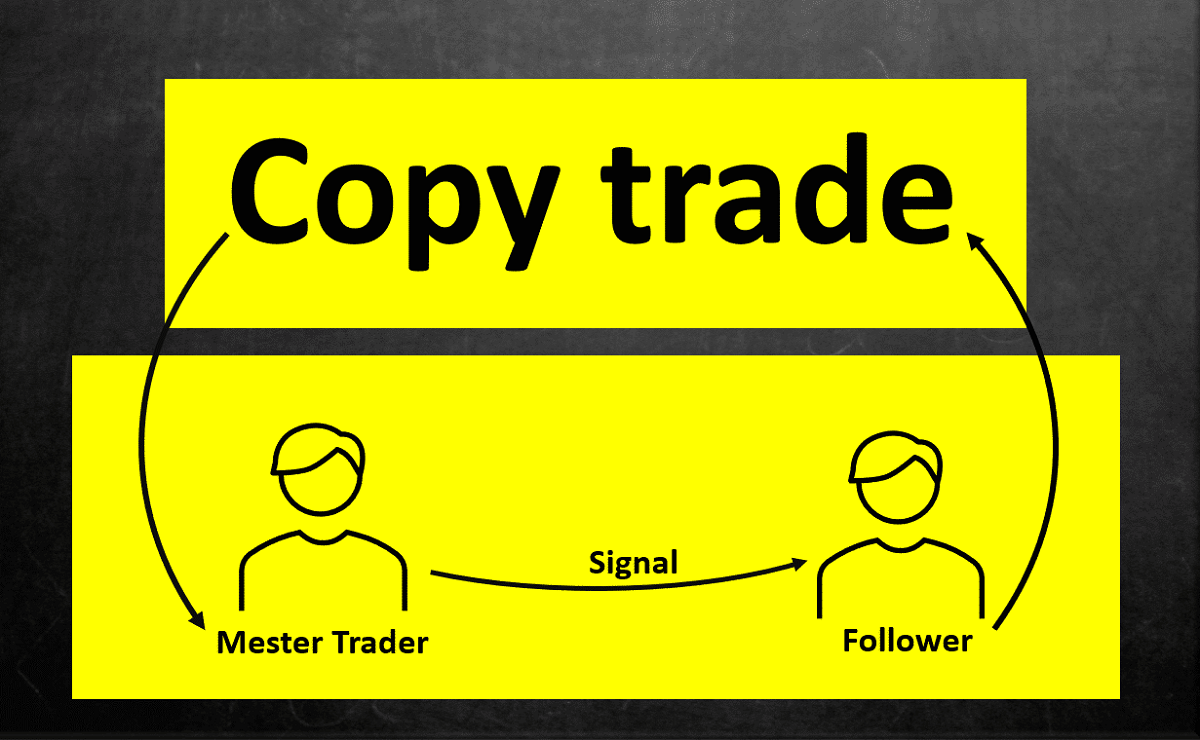 Copy Trade là gì? Lợi ích & rủi ro của việc Copy Trading