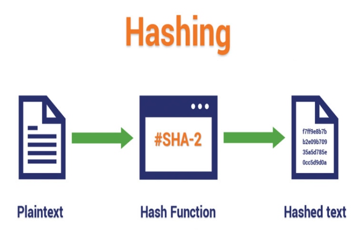 Hash là gì? Tầm quan trọng của hàm băm trong Blockchain