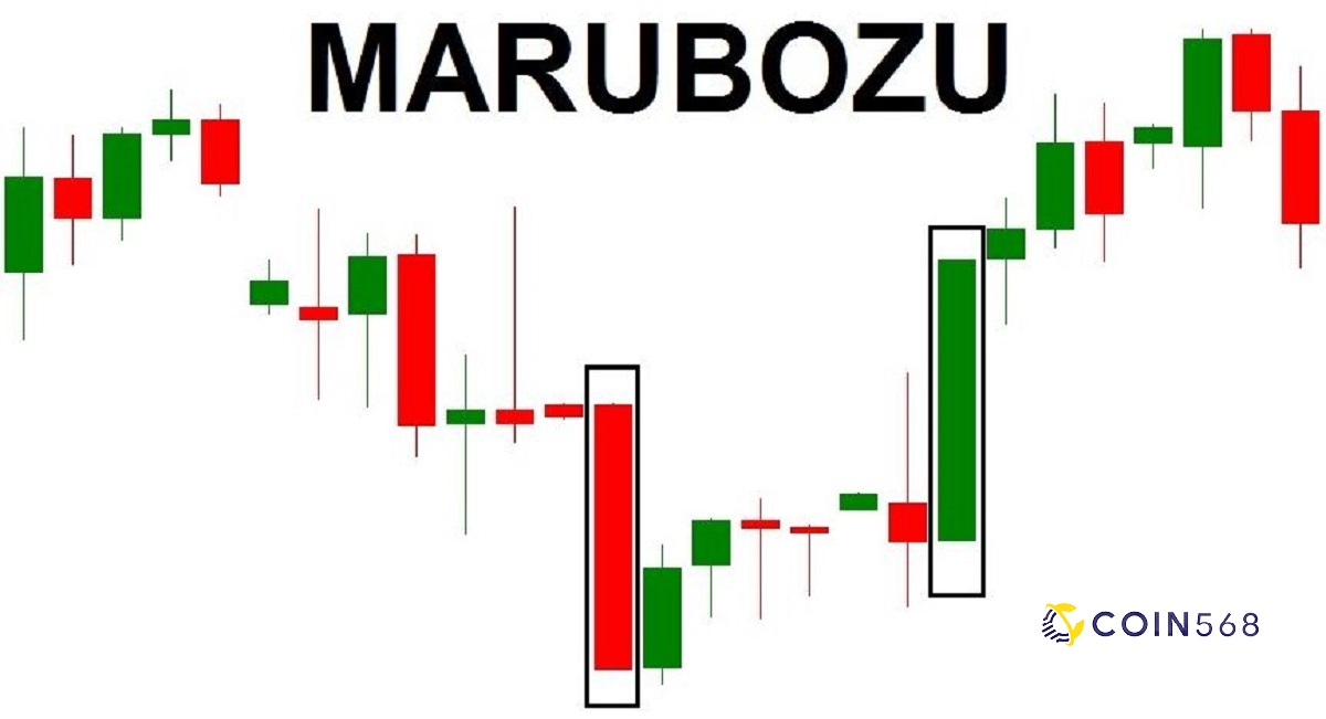 Nến Marubozu là gì? Đặc điểm và cách giao dịch với Marubozu
