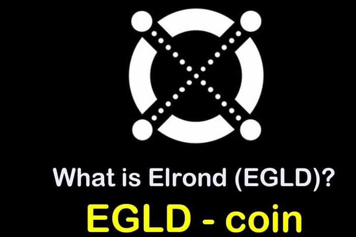 EGLD coin